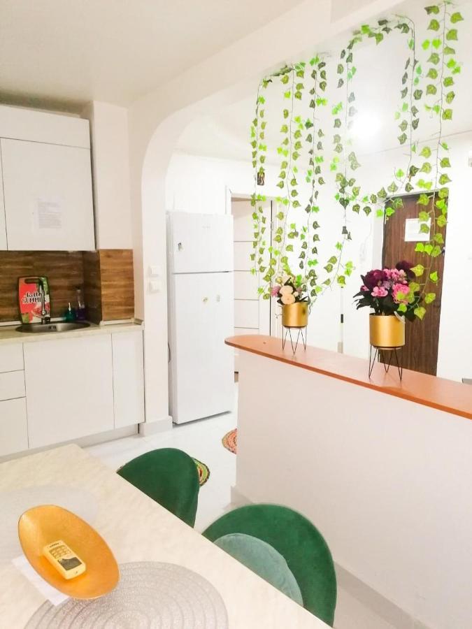 Apartament Near The Park Two Rooms Bukurešť Exteriér fotografie